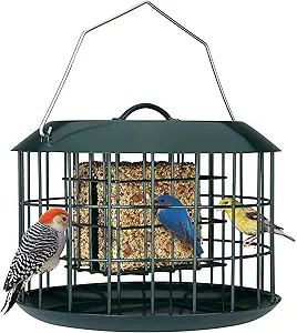 Kingsyard Squirrel Proof Suet Feeder, Cage Bird Feeders for Outdoors Hanging, All Metal, Double Suet Cake Capacity, Tray & Weatherproof, Green asin的图片