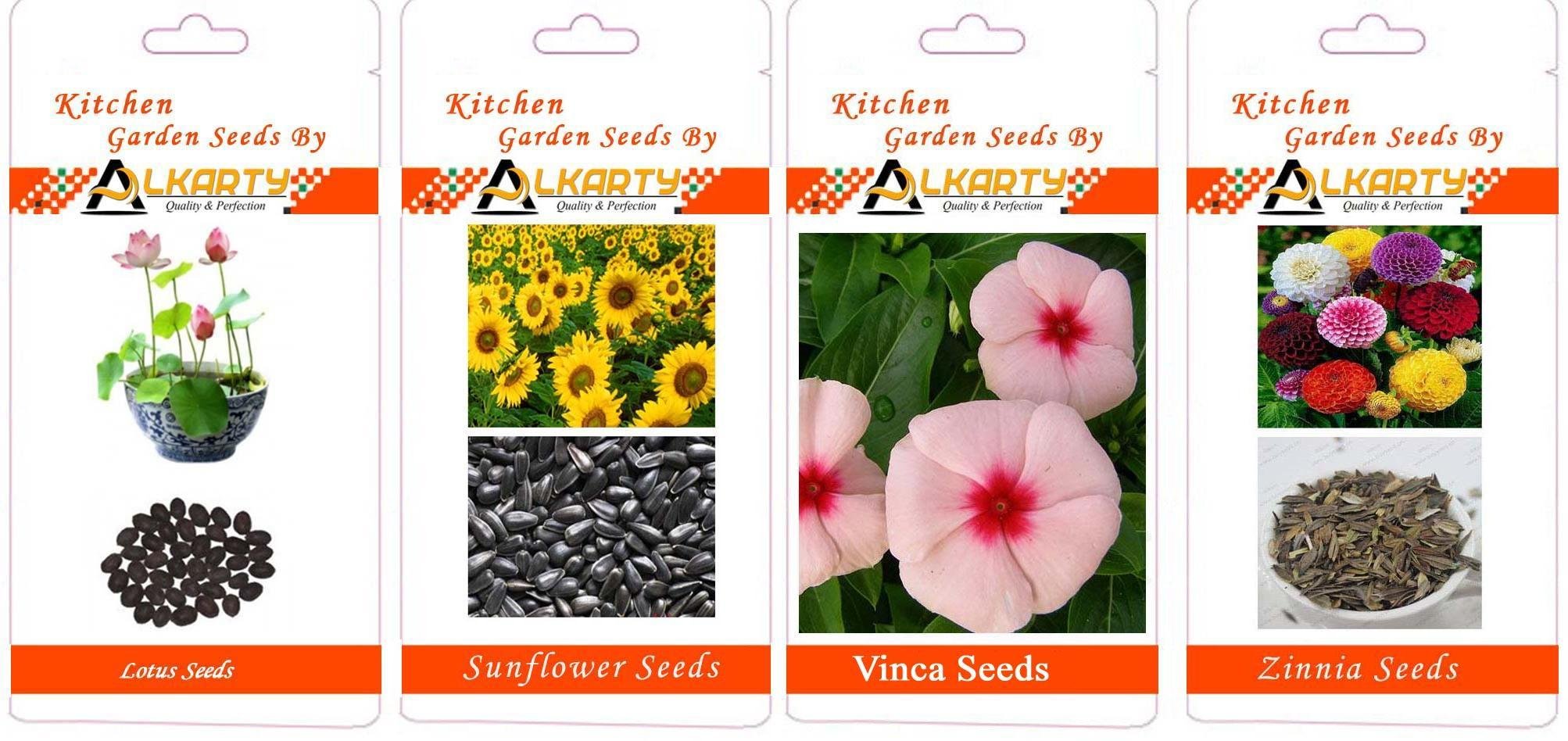 Lotus, Sunflower, Vinca, Zinnia Summer Flower Seeds Pack of 20 Each-image-43