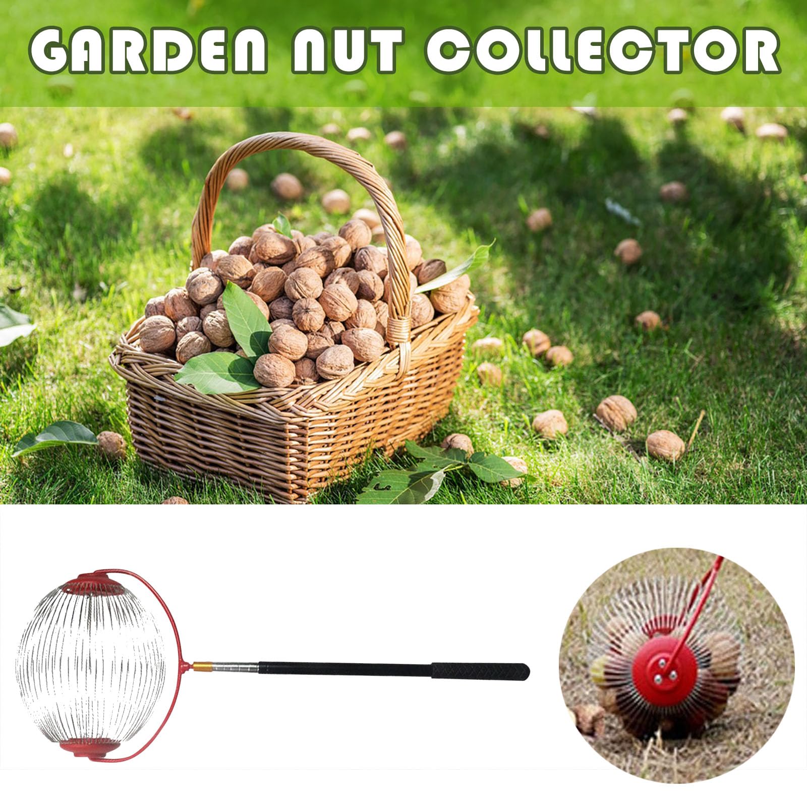 Generisch Recolector de nueces de acero inoxidable con mango telescópico, recogedor ajustable y ergonómico, recogedor de castañas y recogedor de frutas para nueces, manzanas, peras, castañas, nueces