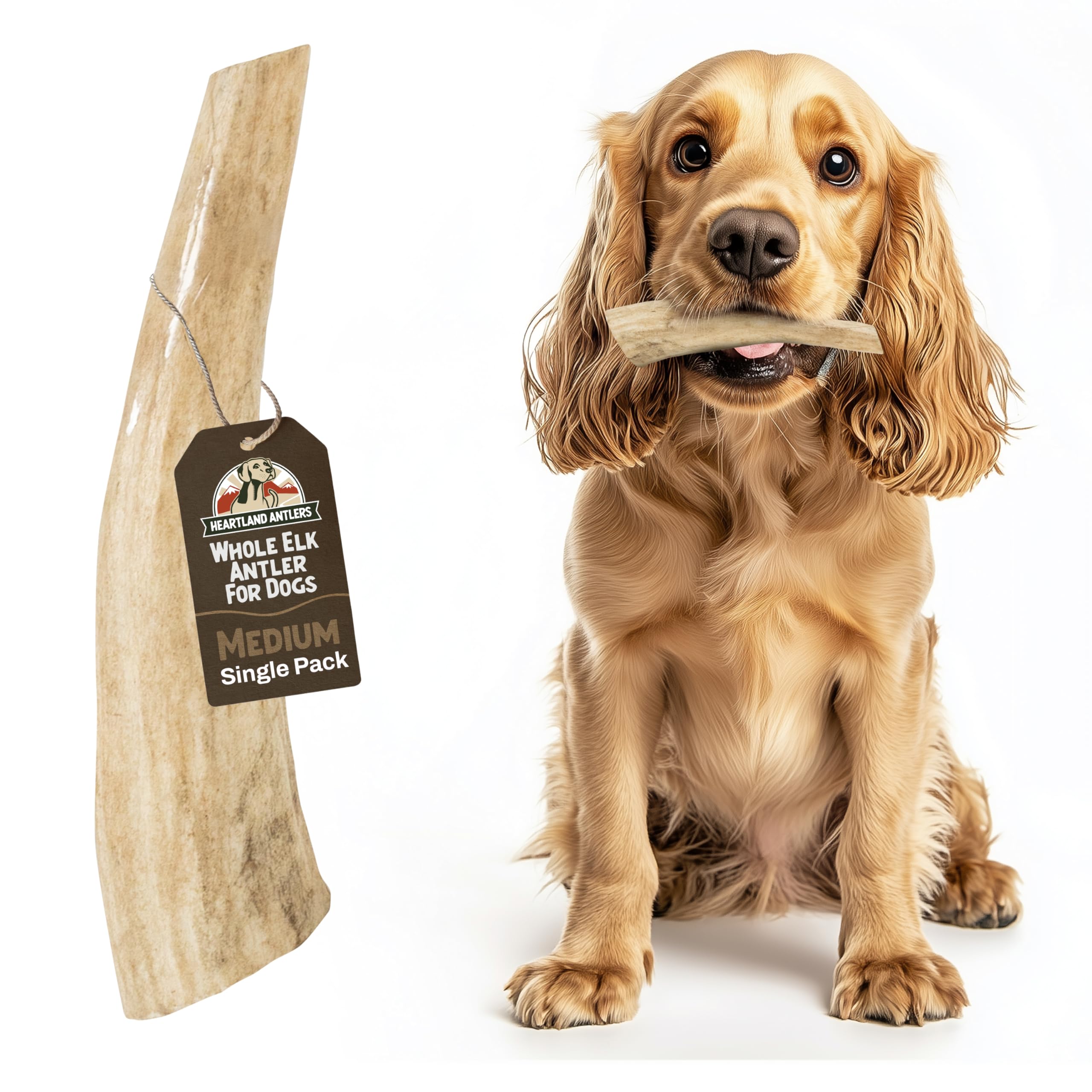 Heartland Elk Antlers for Dogs - Daily Dental Care Chews for Aggressive Chewers to Reduce Plaque & Prevent Destructive Behavior (Whole, Splinter Free,