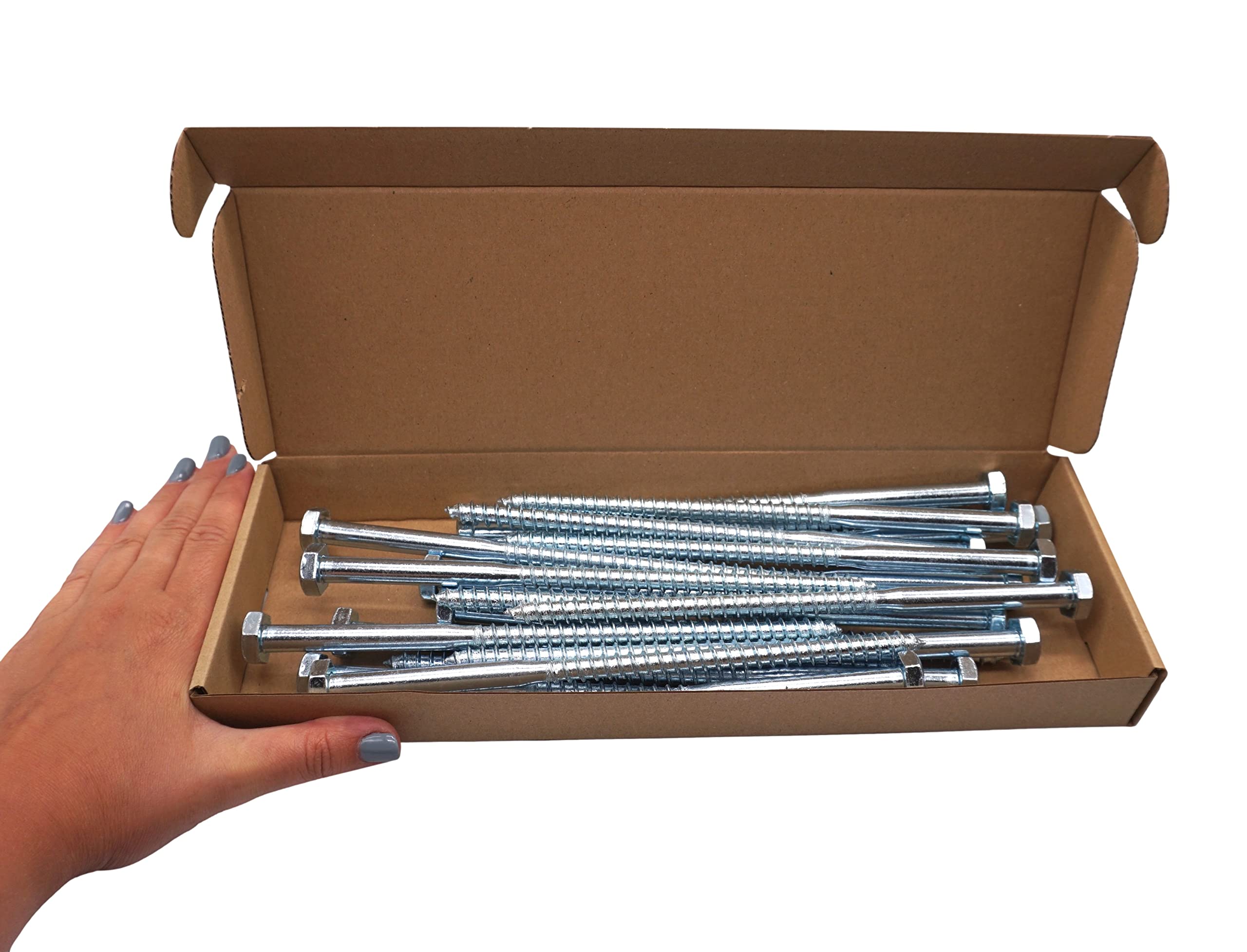SKIR'CO Set van 20 houtschroeven met zeskantkop DIN 571 van verzinkt staal M10 x 200 mm