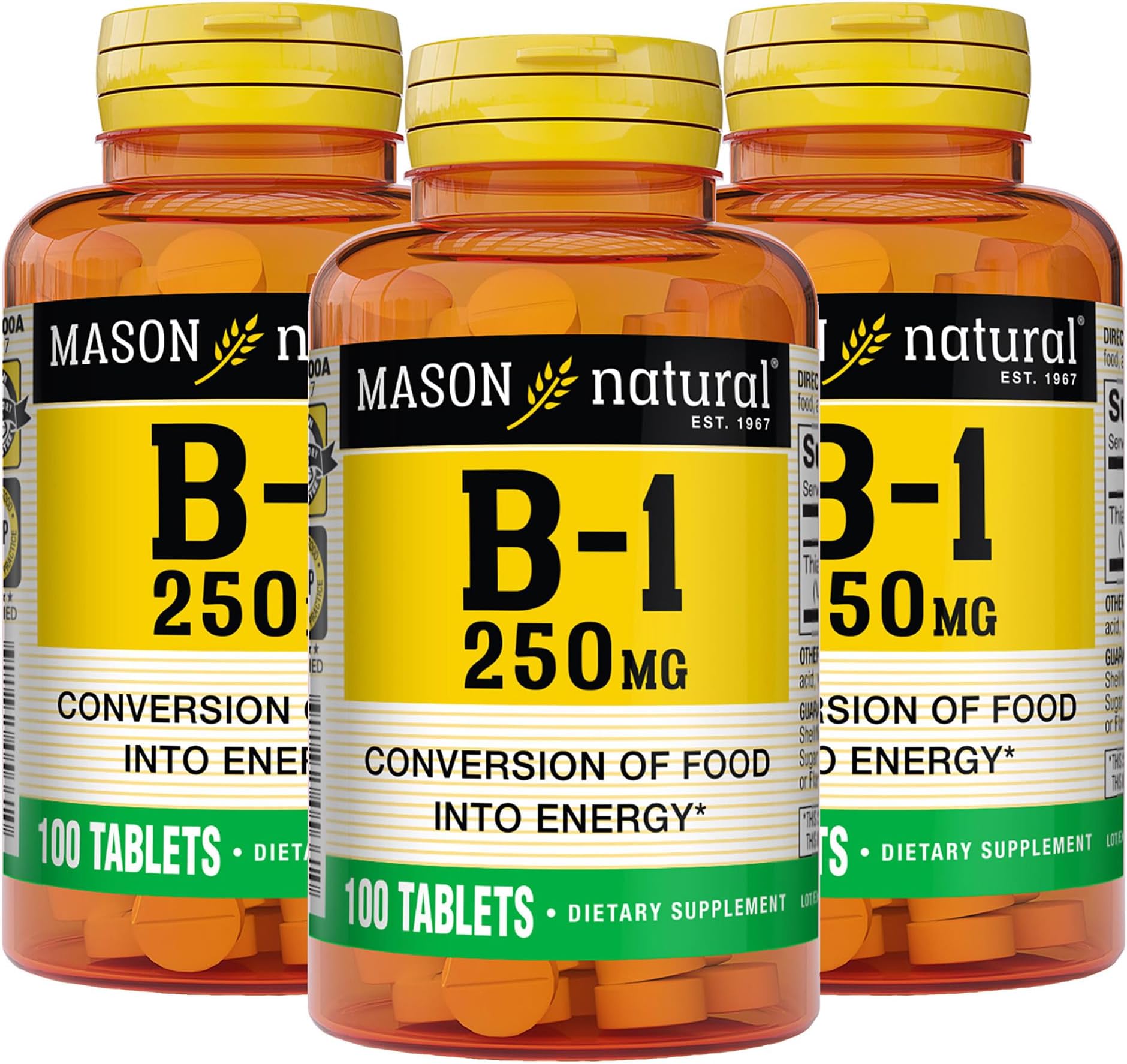 Mason Natural Vitamin B1 (Thiamin) 250 mg - Healthy Conversion of Food into Energy, Supports Nerve and Immune Health, 100 Tablets (Pack of 3)