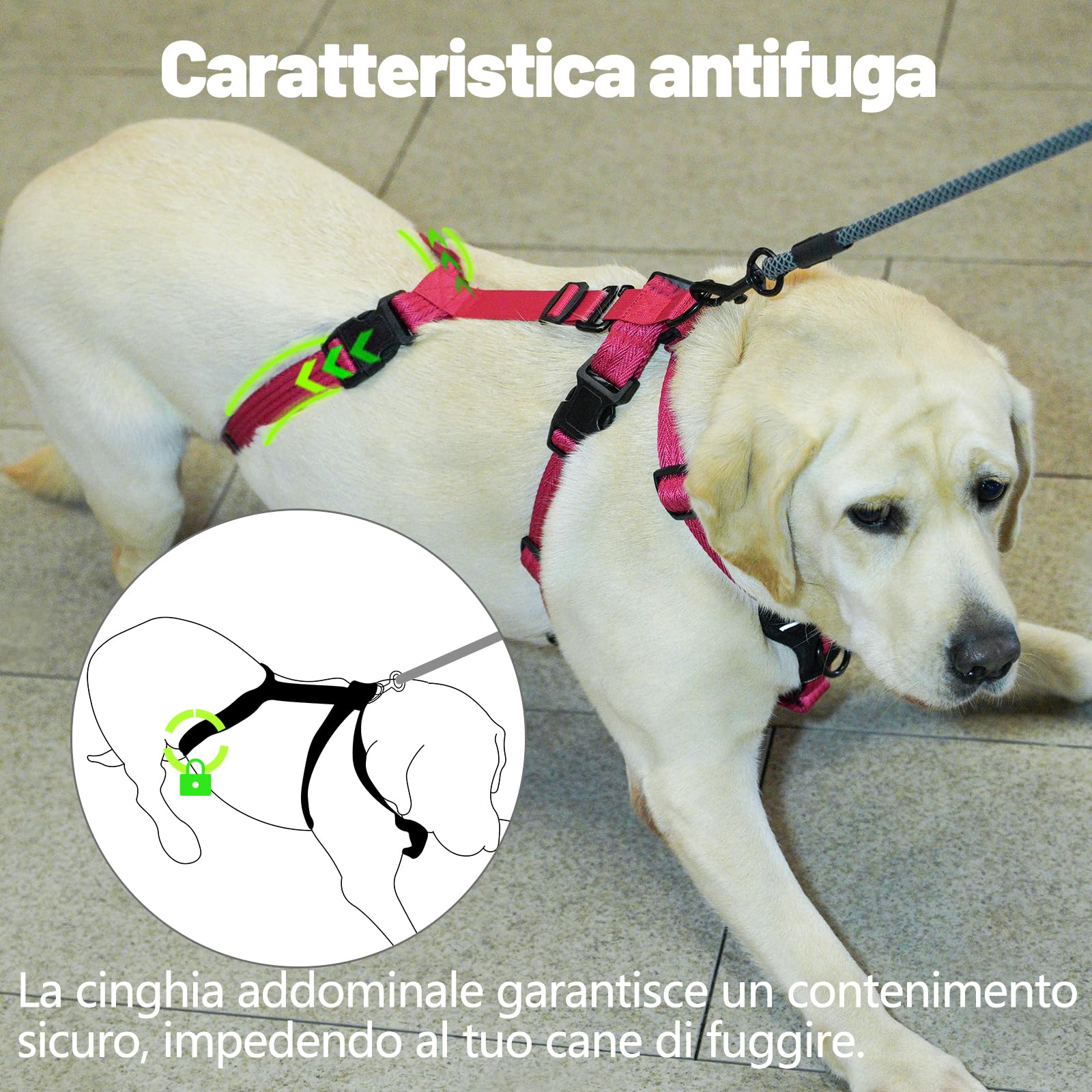 PAWORLD Pettorina Antifuga Cane, Pettorina Anti Tiro per Cani, Pettorina Cane Taglia Grande, Pettorina Regolabile Cane, Traspirante, Senza Soffocamenti, Allenamento alla Camminata (Rosa Rossa,L)