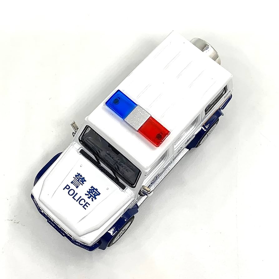 キャロットさん　10ケース CAPTAIN FIN キャプテンフィン x シーア レイク 8.5