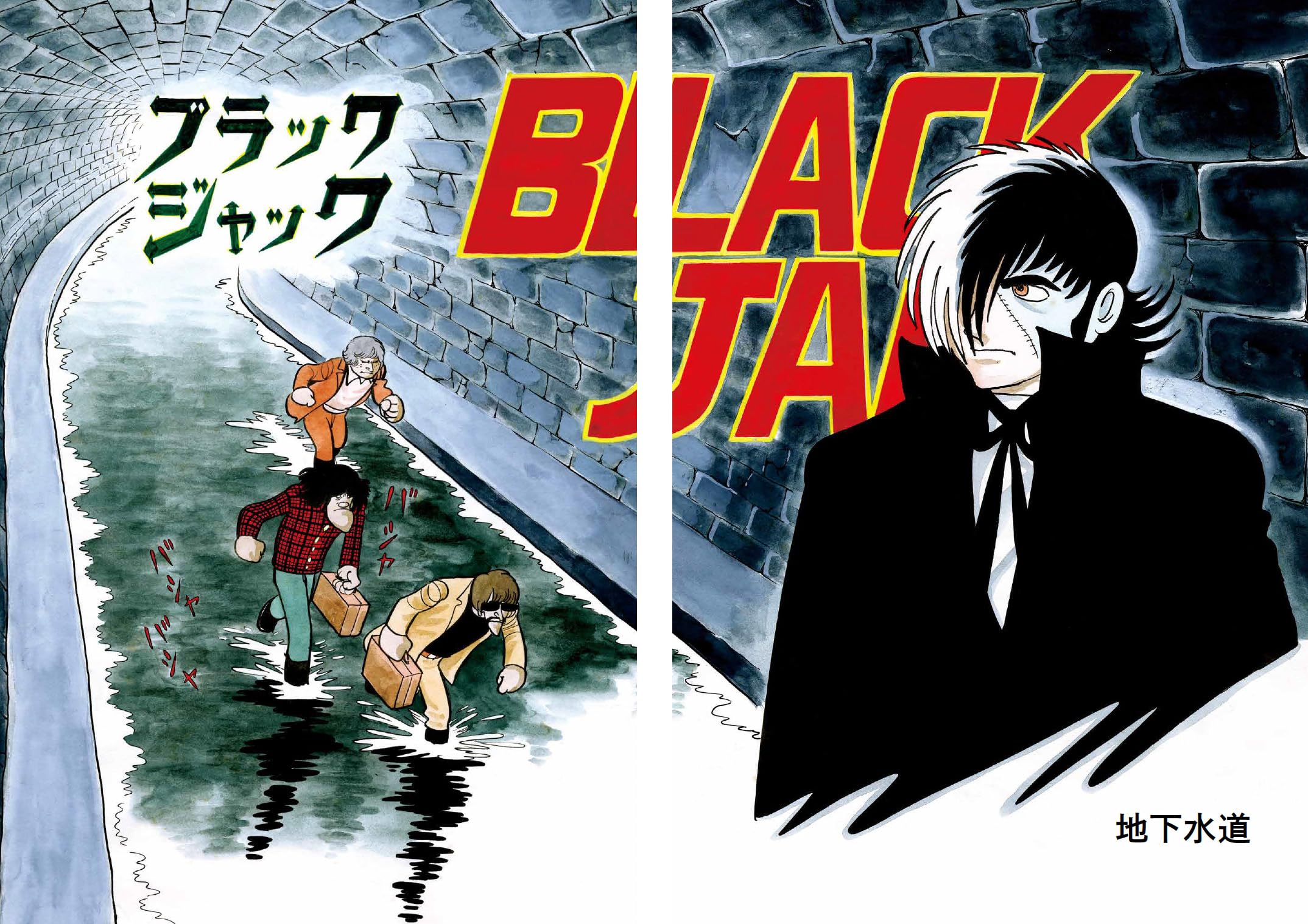 Amazon.co.jp: 手塚 治虫: books, biography, latest update