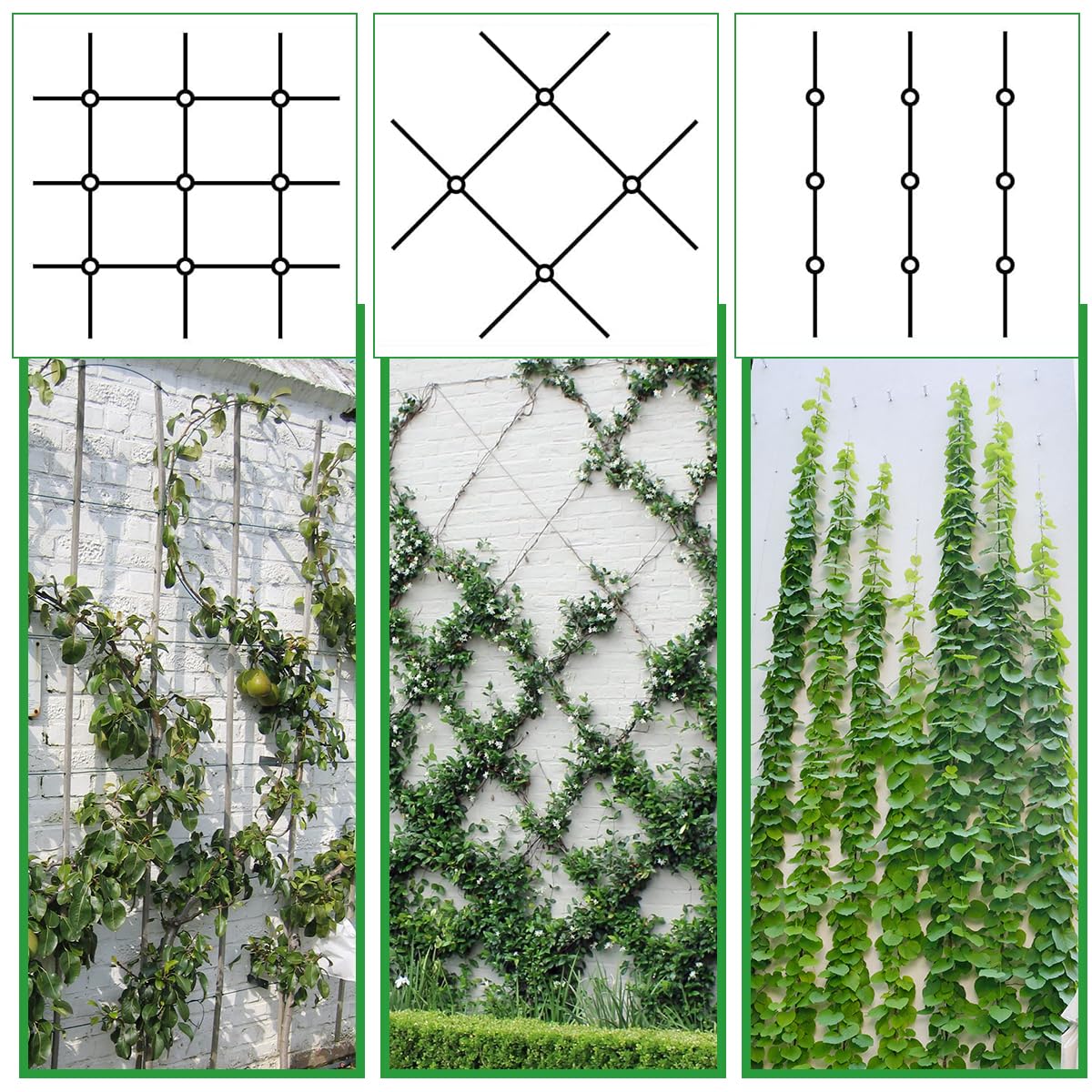 Rankhilfe aus Edelstahl für Kletterpflanzen, für Garten/Mauer/Beton/Zaun | 30M Spalier auf Plantagenstandard, mit 3 mm Durchmesser, Set Drahtseile System Kit für Pflanzen mit Wall Mount Brackets