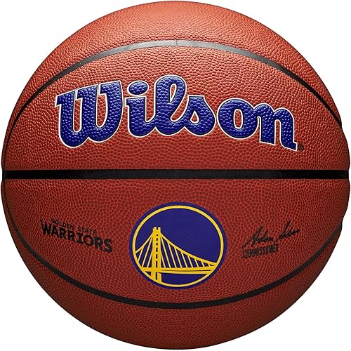 WILSON Balones de baloncesto NBA Team Alliance, tamaño 7-29.5 pulgadas