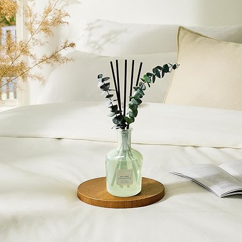 Miniatura 6 de COCORRÍNA Difusor de varillas de eucalipto y menta silvestre, aceite esencial de 6.76 onzas con varillas y eucalipto seco, fragancia para el hogar