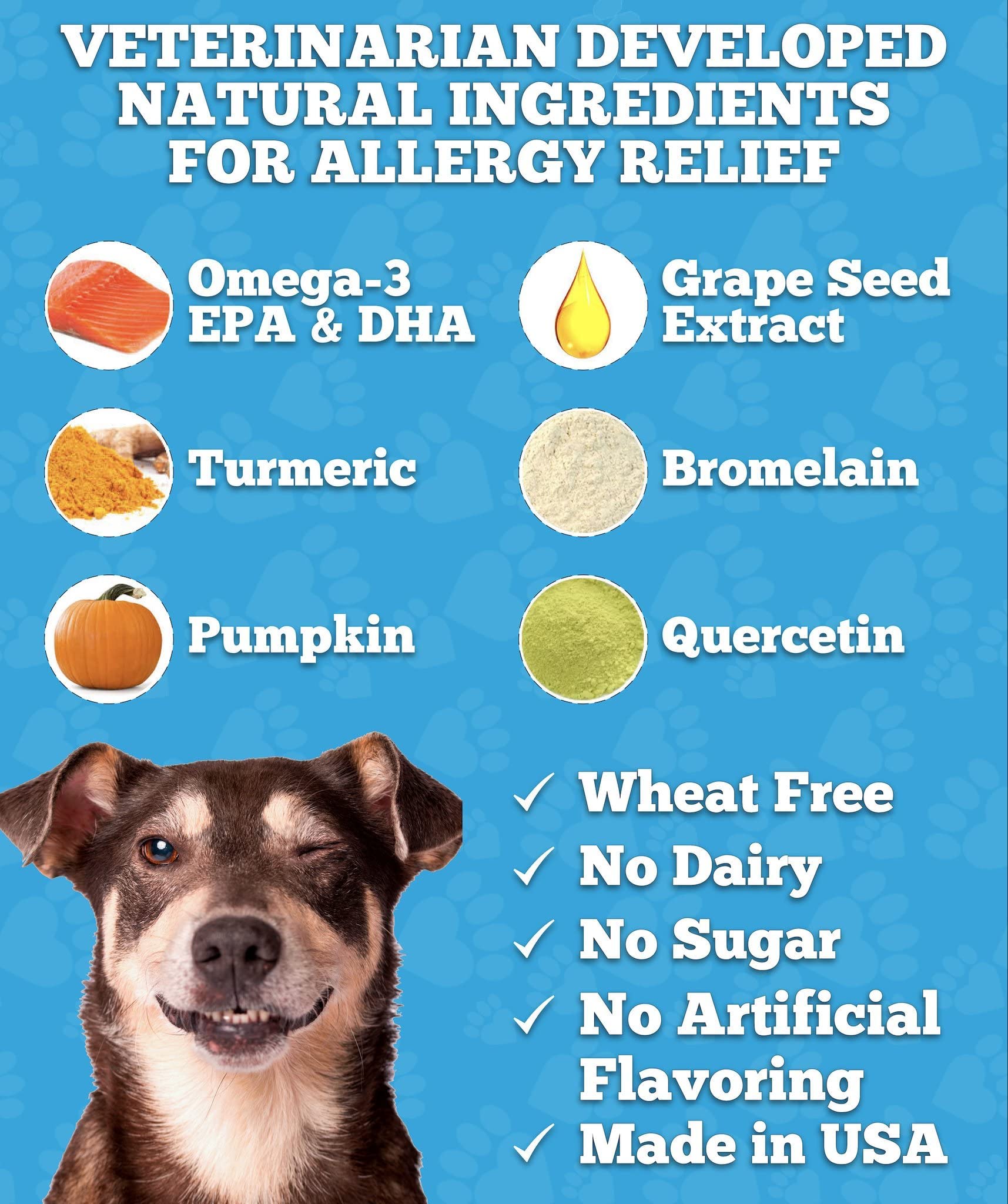Buy Well Loved Dog Allergy Chews Dog Allergy Relief, Made in USA, Vet