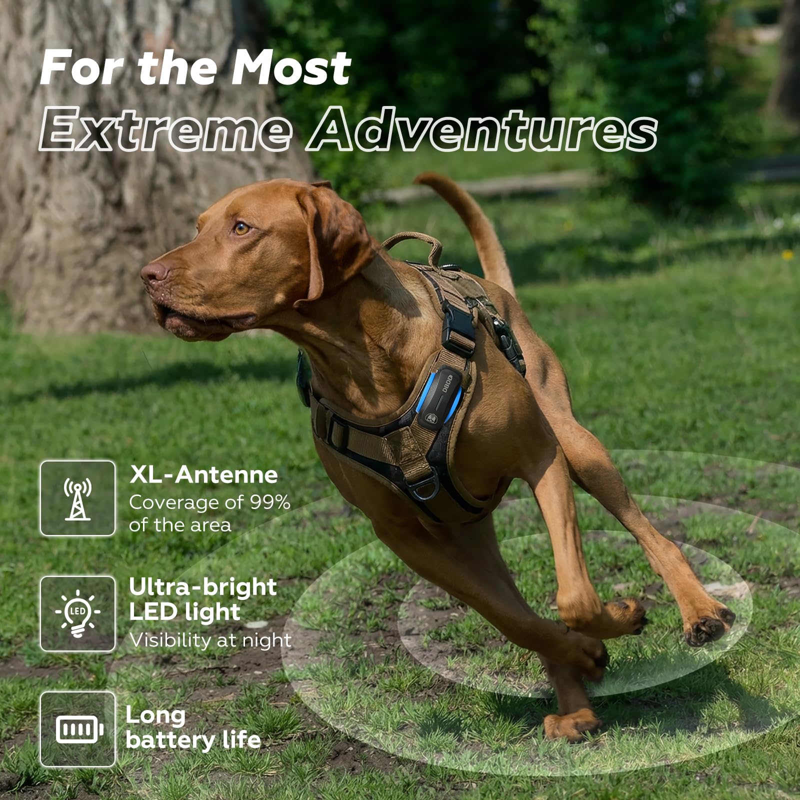 Dog GPS Tracker, Smart Waterproof Tracker with Real-Time Location, Escape Alerts, Activity Monitor, iOS & Android Compatible, for Dogs 40 lbs+ (Black) - image 2