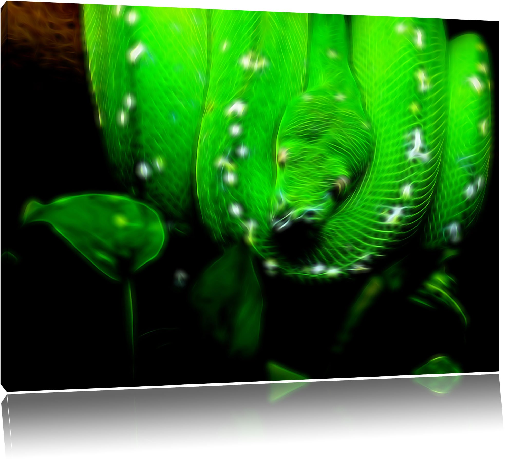 Pixxprint grüne Schlange Neon Lights Effekt, Format: 60x40 auf Leinwand :  Amazon.de: Küche, Haushalt & Wohnen