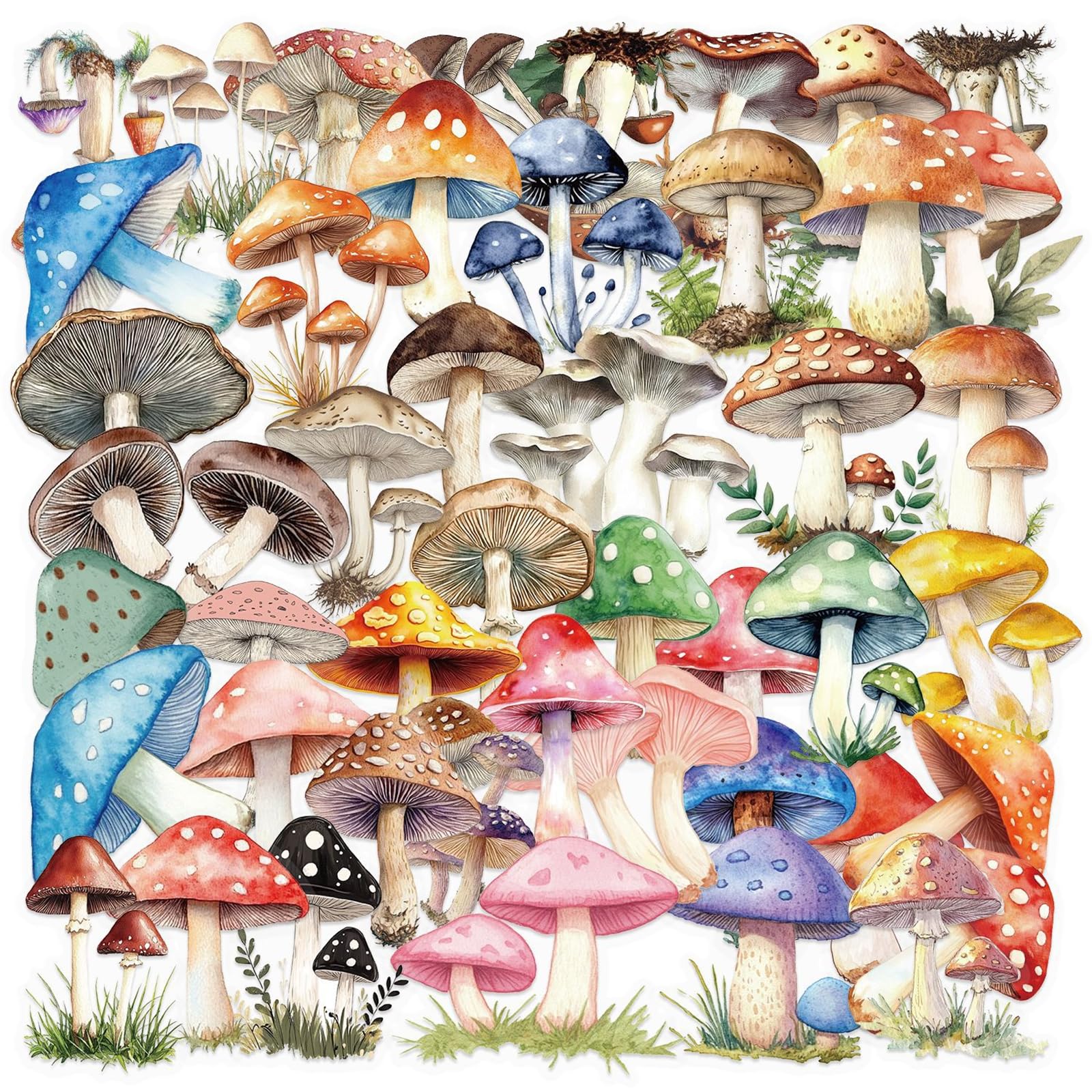 50pcs Transparent Mushroom Stickers,Vintage Mushroom Sticker Waterproof PET Stickers for Scrapbook Journaling Photo Album Collage Card Nature Colorful