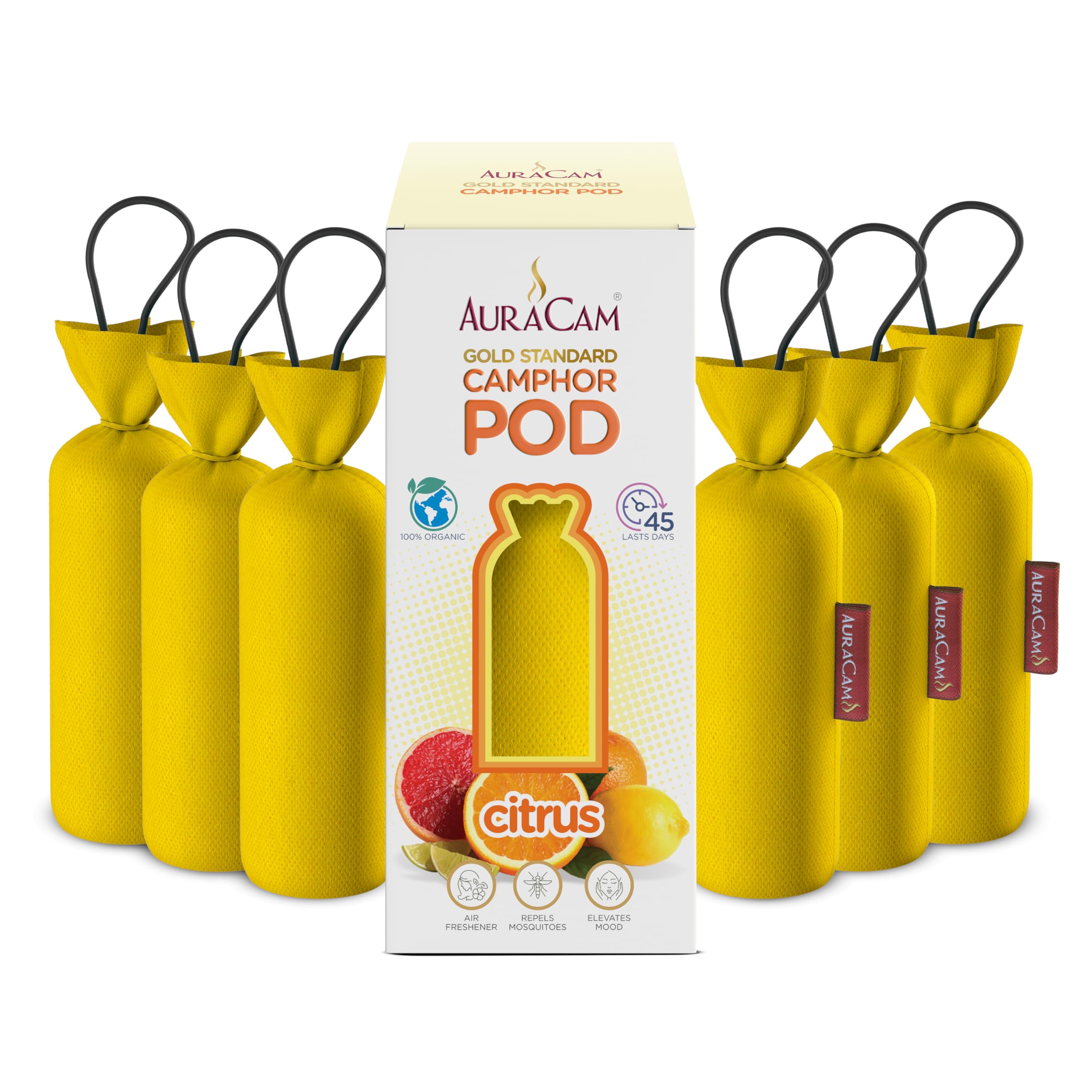 AuraCam Gold Standard Camphor Pod Cone Citrus- Set of 6 - Pod Air freshener For Room, Car, Bathroom, Office & Toilet | Long-Lasting Cone for Home