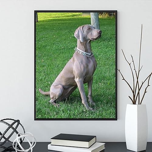 Miniatura 2 de MANUKS Kits de pintura de diamantes 5D para adultos, arte de diamantes de taladro completo, Weimaraner, perro, cachorro, pintura de diamantes de