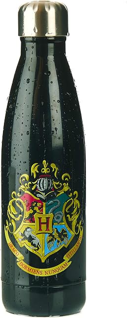 Paladone Hogwarts Metal Water Bottle-Officially Licensed Harry Potter Merchandise | Amazon Exclusive