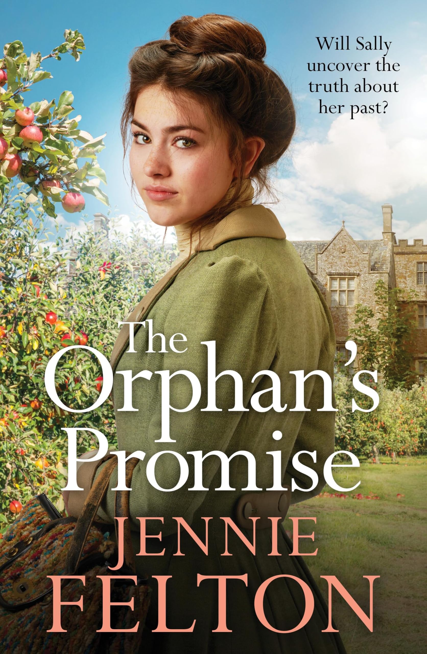 The Orphan's Promise: Can Sally Brown discover the truth about her mother? A heart-rending new Wiltshire saga.