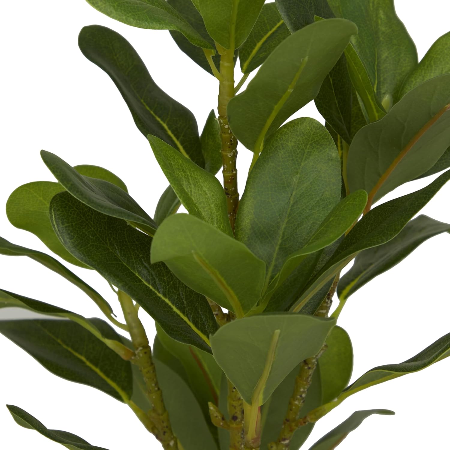 Deco 79 Faux Foliage Bay Laurel Artificial Plant with Realistic Leaves and Square Porcelain Pot, 9" x 9" x 15", Green