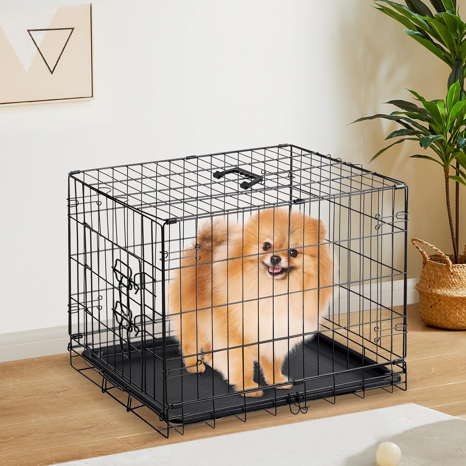https://m.media-amazon.com/images/I/81-dY24OFKL._AC_SL1500_.jpg