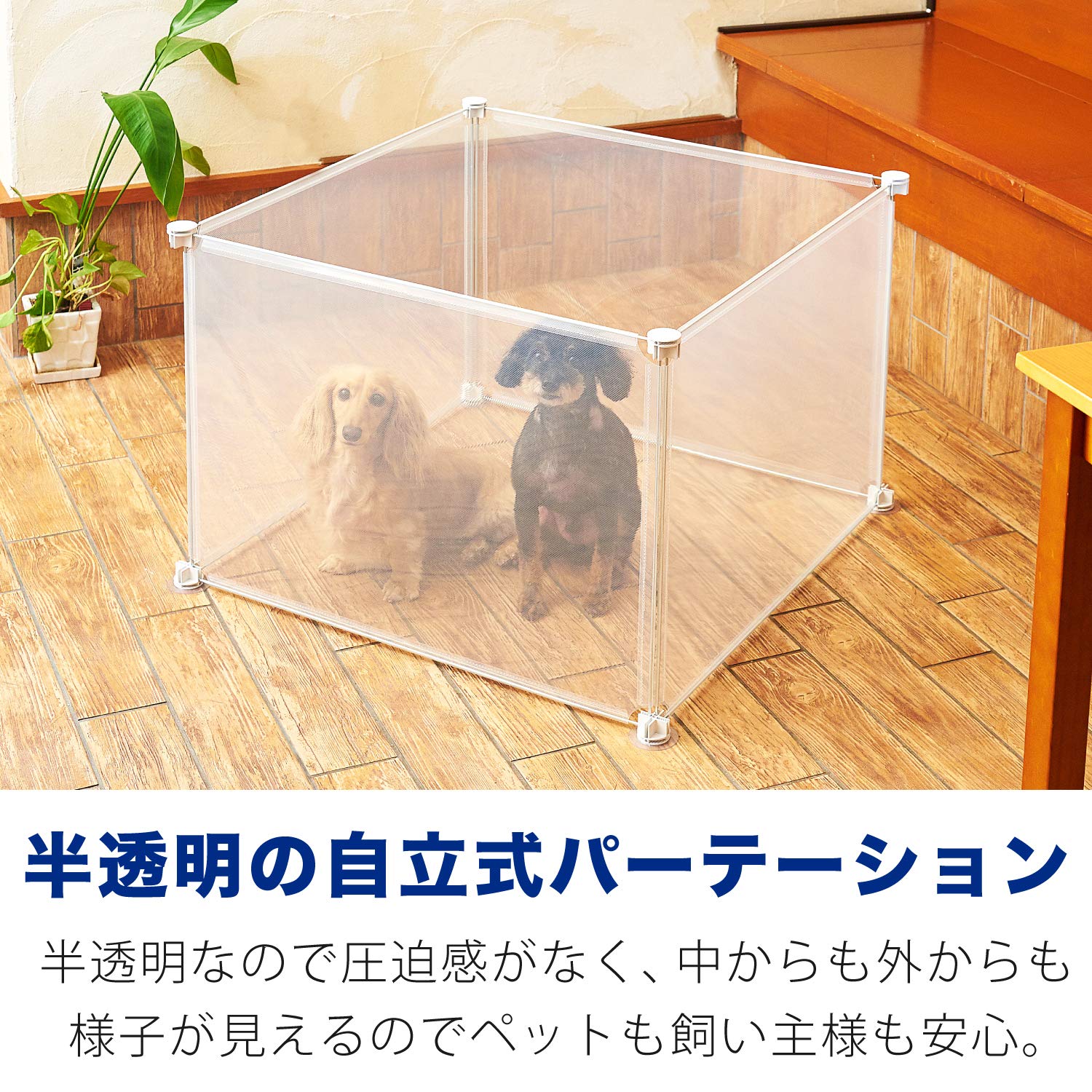 わんちゃん撮影用⭐︎3連パーティション わんちゃん撮影用⭐︎3連パーティション