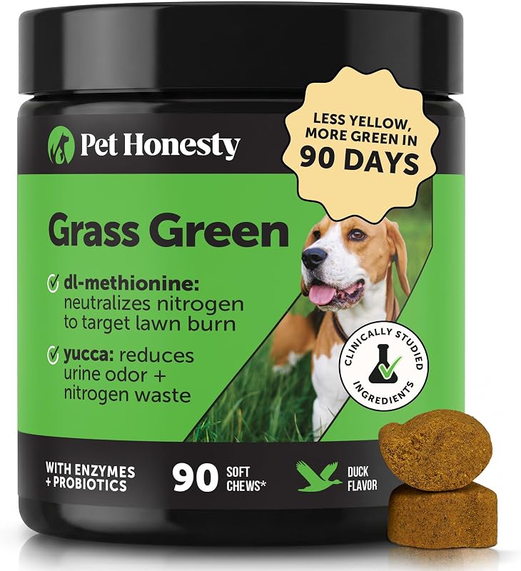 Neutralizador de orina para perros Grass Green para césped - Detiene las quemaduras amarillas y la hierba marrón - Suplemento protector de césped con dl-metionina, probióticos y enzimas digestivas - Masticables de hierba verde (pato, 90 unidades)