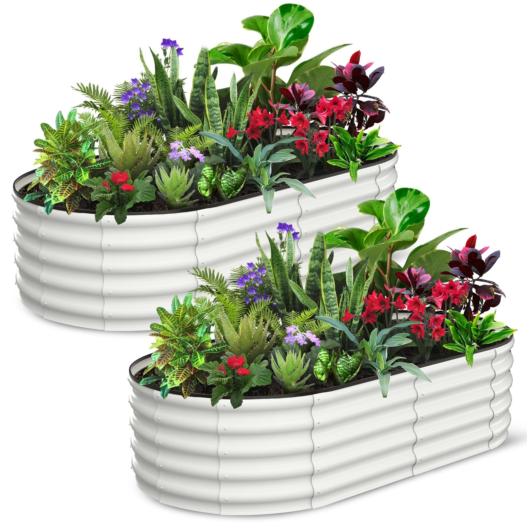 Set of 2 Oval Galvanized Steel Raised Garden Beds for Outdoor Gardening Enthusiasts – Large Planter Boxes Featuring Open Bottom Design for Superior Drainage and Aeration, Protective Safety Edges Ideal