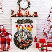 Vista 5 de Hedume Bolsa de almacenamiento para coronas, bolsa transparente de 30 x 12 pulgadas, contenedor de almacenamiento de corona de Navidad con doble