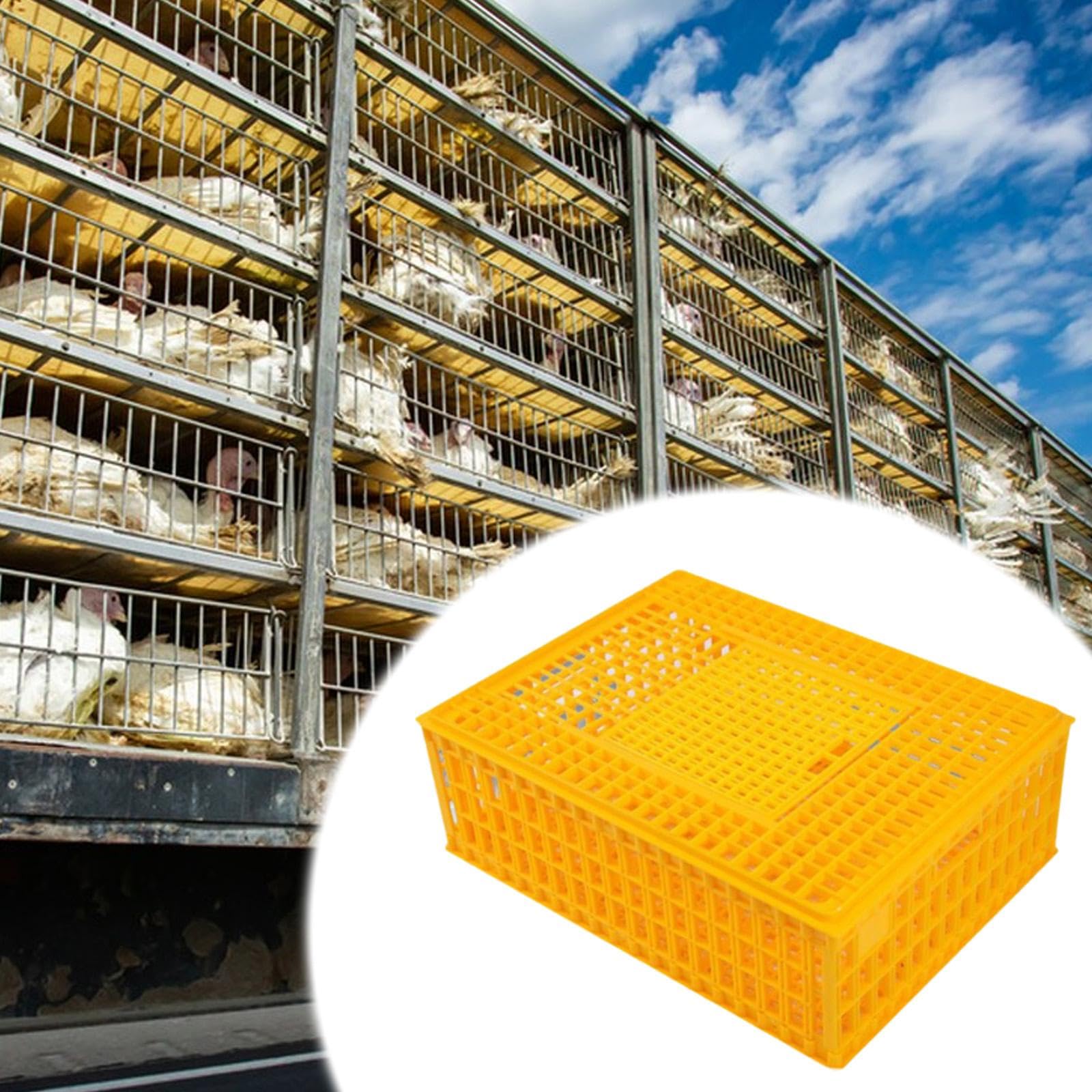 Jaula Apilable para El Transporte de Aves de Corral, Transportín para Pollos, Caja de Transporte para Hámsteres, Palomas Y Pavos, Amarillo