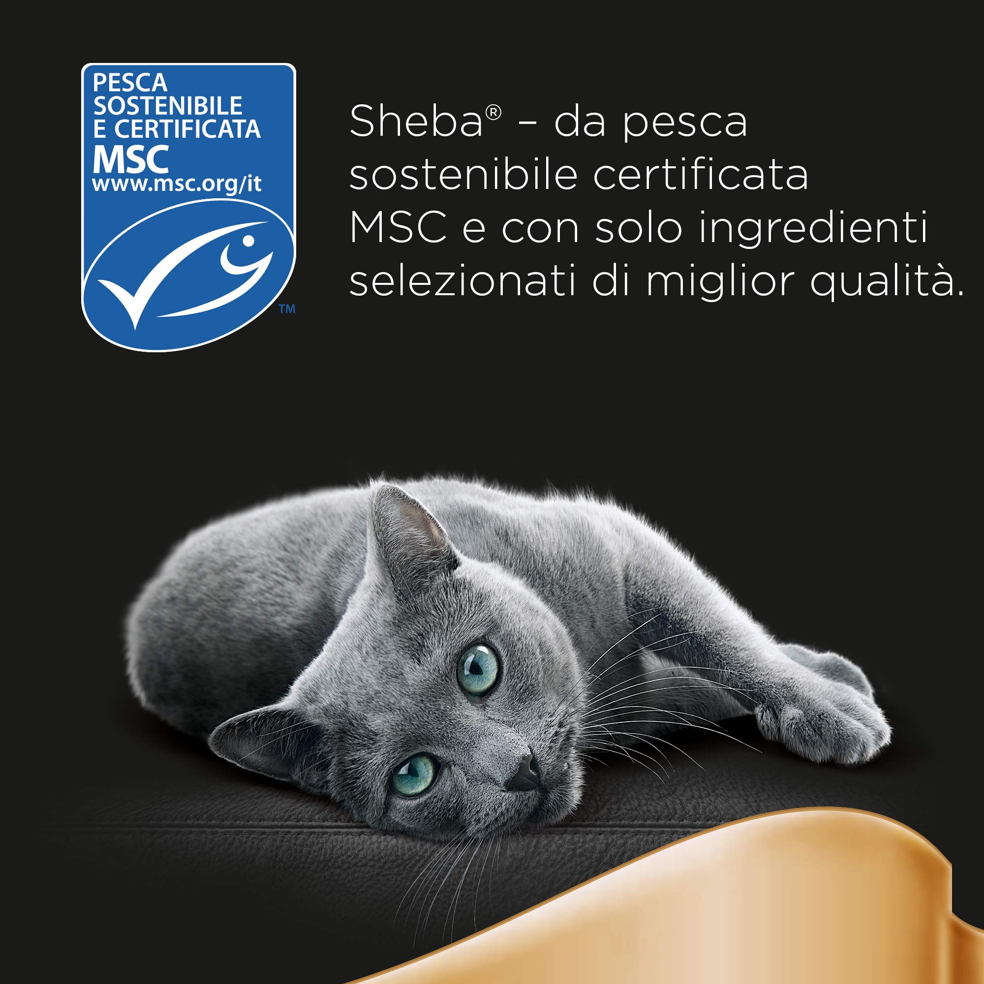 Sheba Selezione in Gelatina, gusti Pollo, Tacchino, Pollame, Anatra, cibo umido completo per gatti adulti, 72 Bustine da 85g