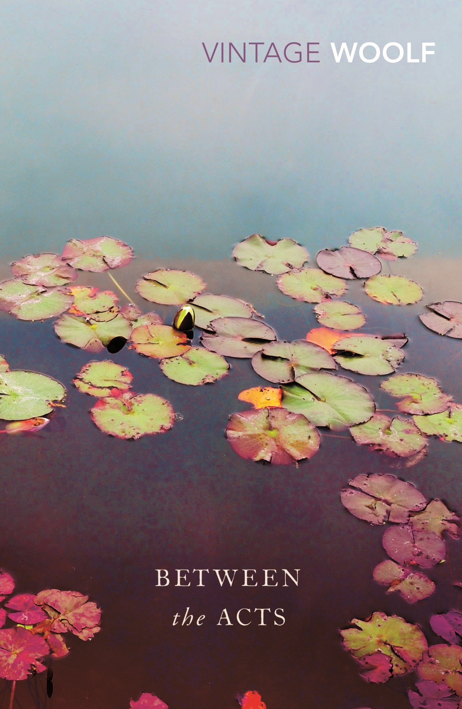 Between the Acts by Virginia Woolf PAPERBACK 9780099982609