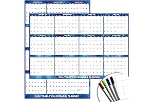 DLY Oasis 2024 erasable wall calendar 24x36