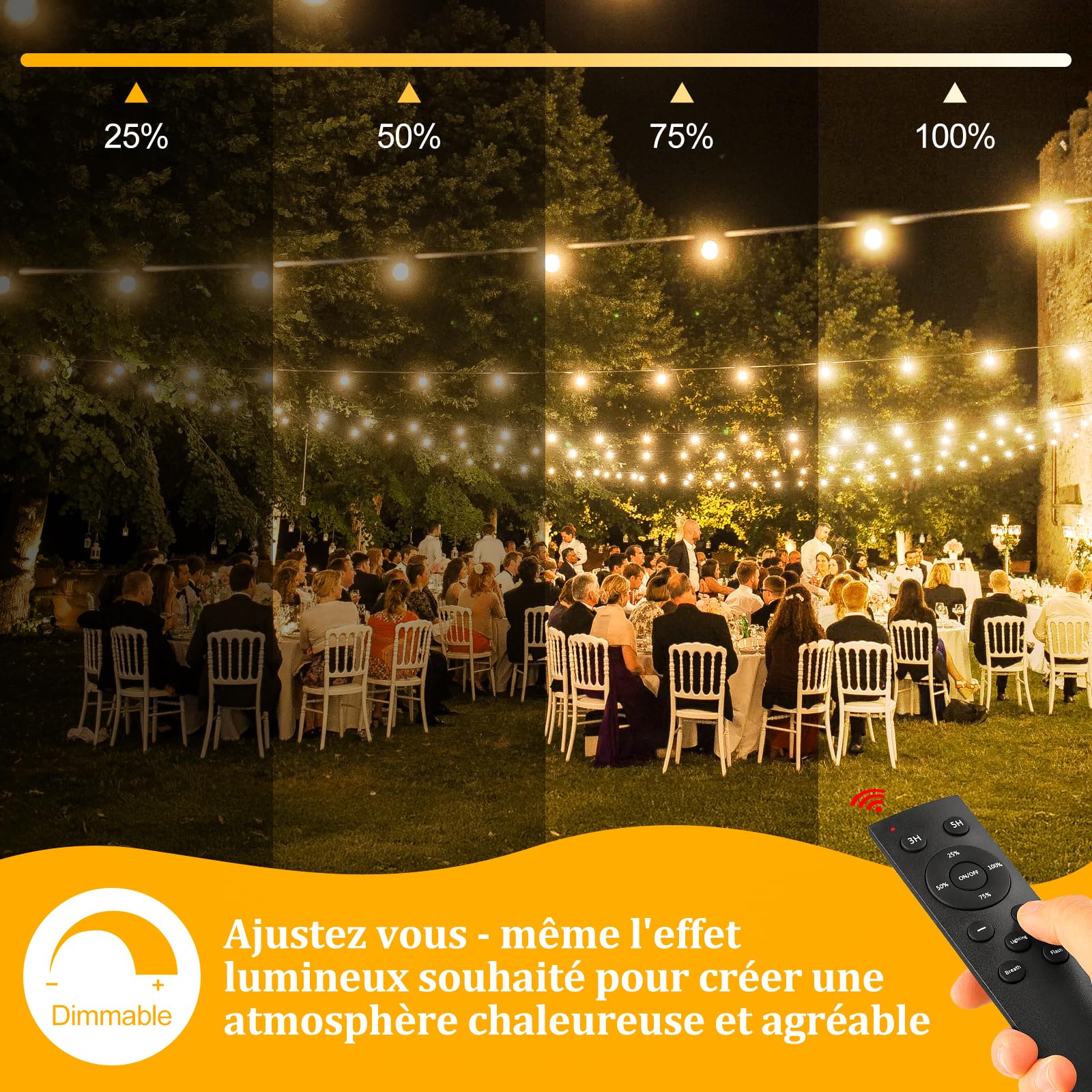 Warlisou 20M Guirlande Lumineuse Exterieure avec Télécommande