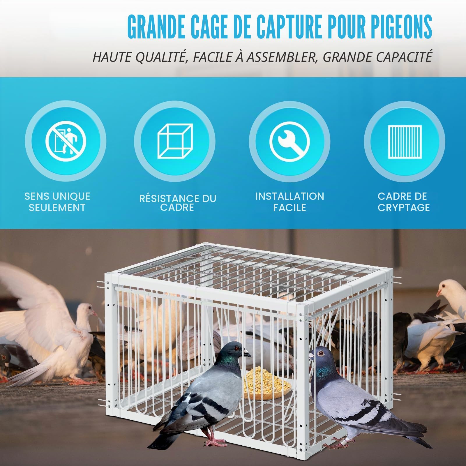Cage à Oiseaux pour Pigeons, Faisans, Canards Sauvages avec Entrée Unidirectionnelle à 4 Côtés - Cage pour Pigeons de Course, Colombes, Perroquets 40cm