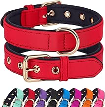 Didog Soft Padded Dog Collars for Small Dogs, Lightweight and Breathable Dog Collar with Metal Buckle for Puppy, Red, S