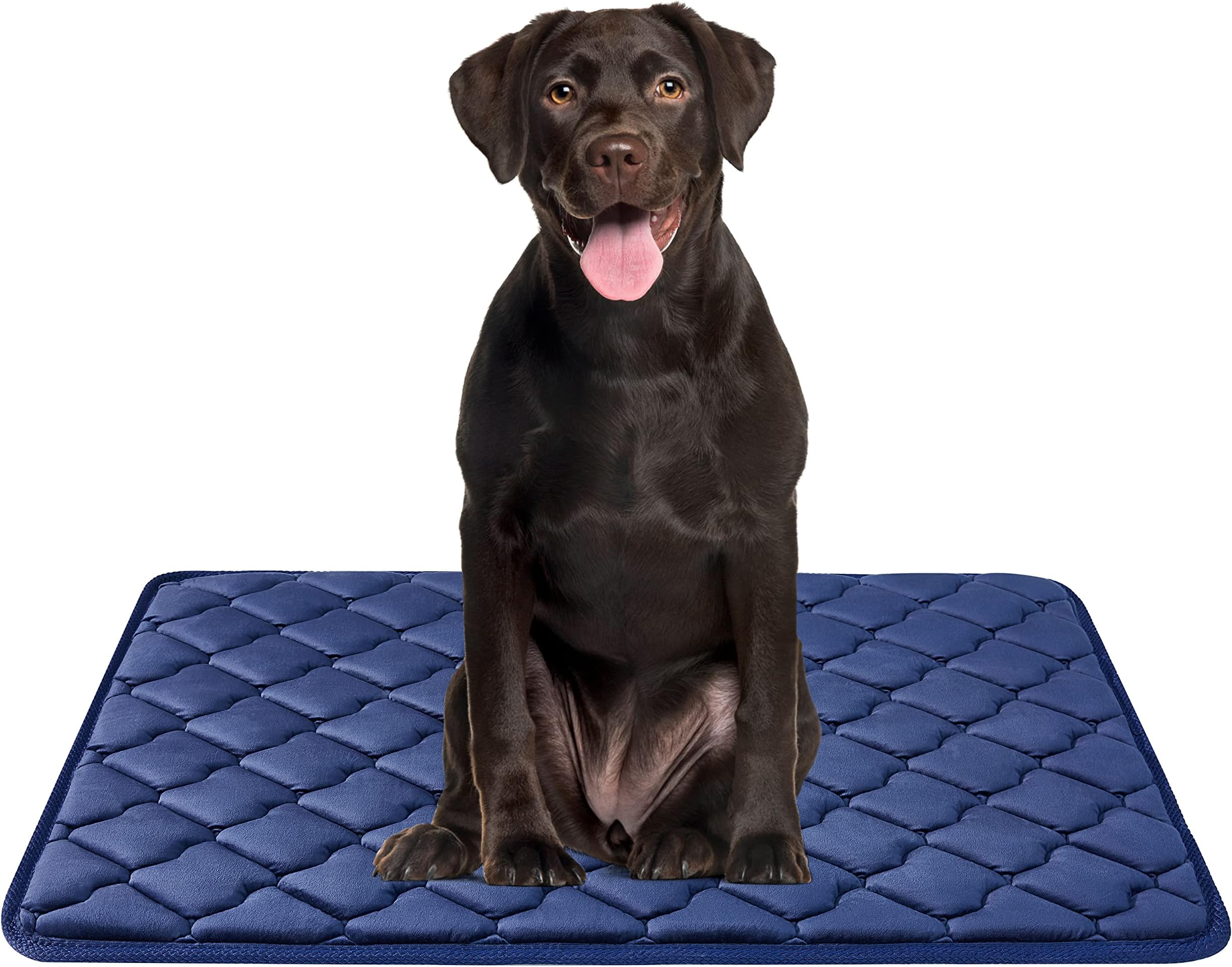 Pet Kennel Pads Pack of 2 Soft Replacement Mats Inserts
