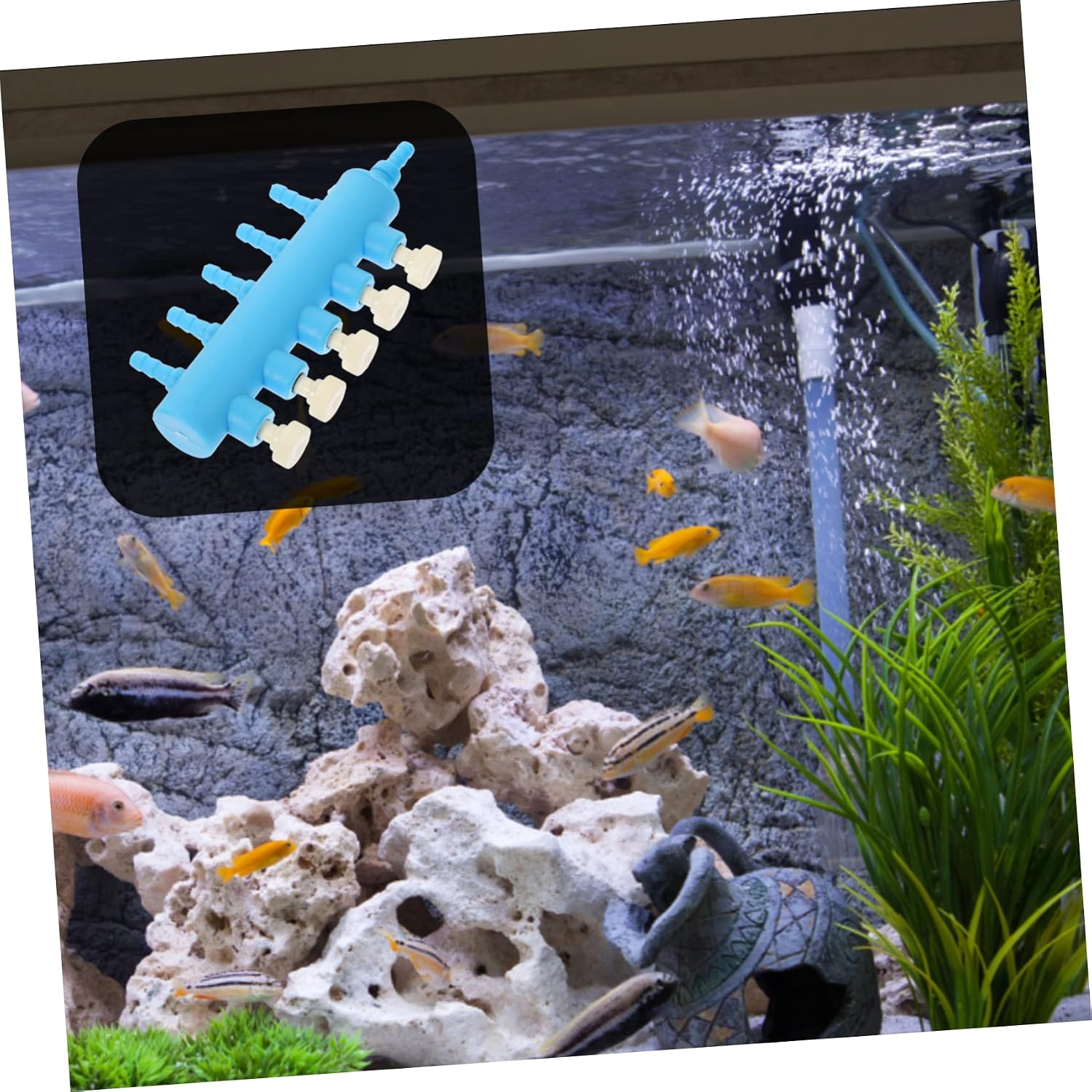 BESPORTBLE 2pcs Fish Tank Regulator Valve Aquarium Oxygen Plastic Aquarium Small Fish Tank 30 Gallon Fish