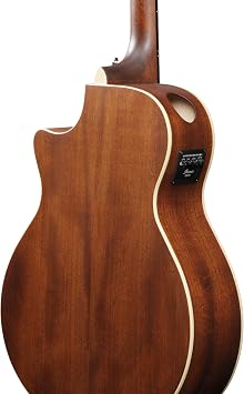 Ibanez AE100-DBF Solid Sitka Spruce Top