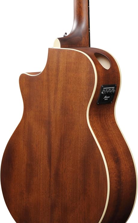 Ibanez AE100-DBF Solid Sitka Spruce Top