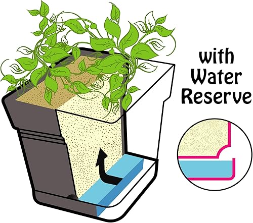 Miniatura 25 de Mintra - Macetas de plástico para plantas, maceta cuadrada para plantas de interior y exterior, macetas de jardín con platillos y agujeros de verde