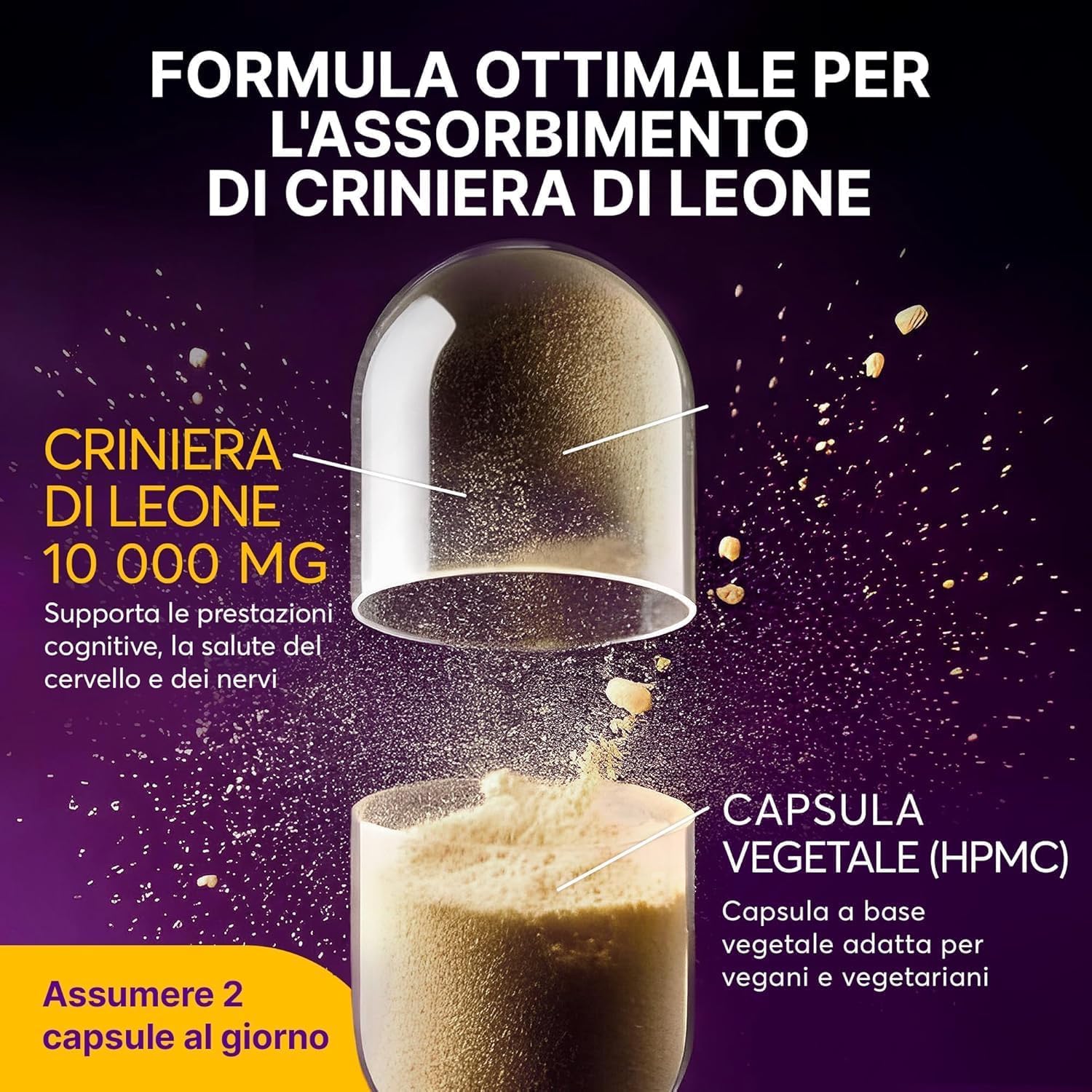 Lions Mane Mushroom Capsule 10.000 mg – Estratto Altamente Concentrato di Hericium Erinaceus 10:1 – Testato in Laboratorio con Certificazione – Integratore Lions Mane – 180 Capsule Vegane