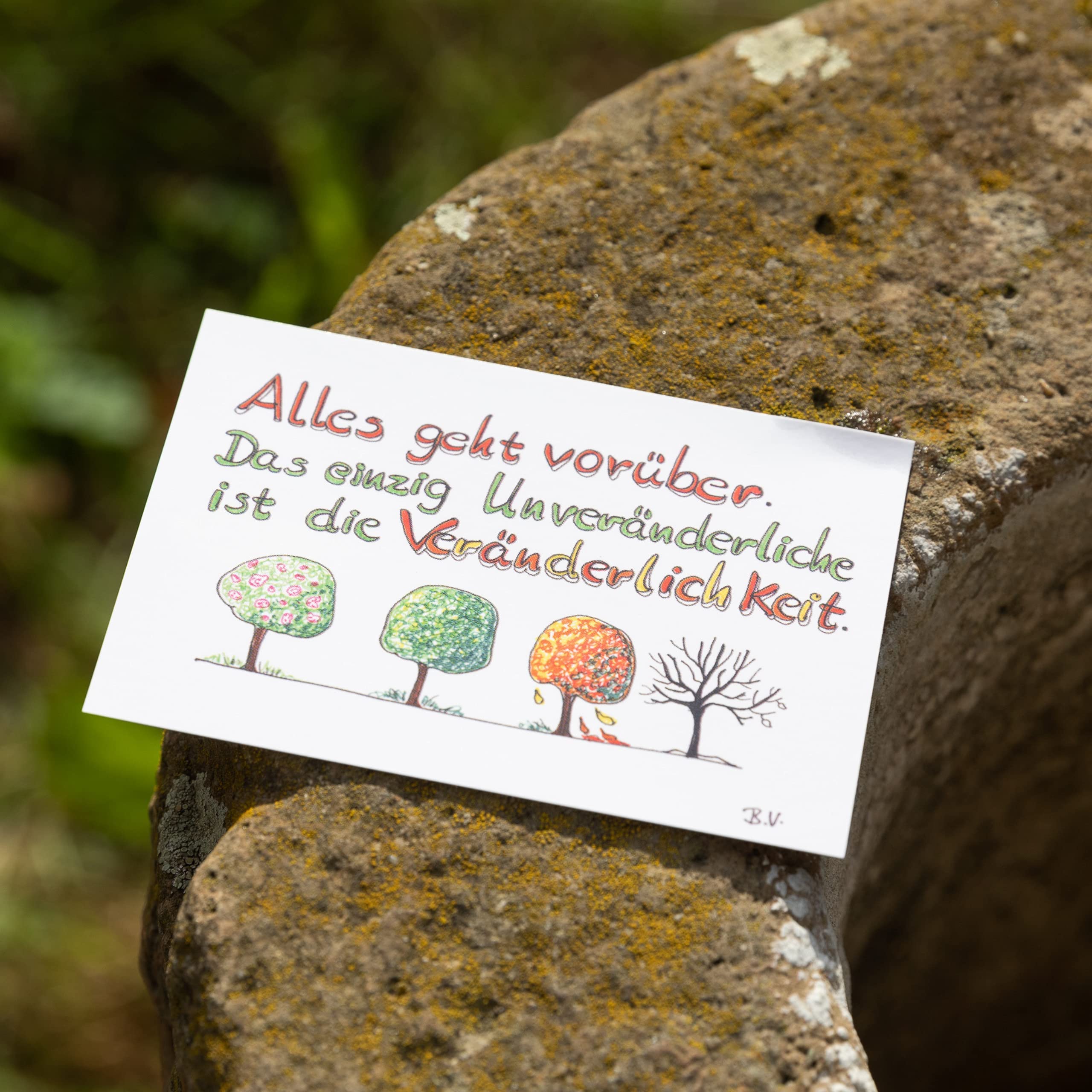 Lebenskarten Serie 1" Das Original" (72 Karten + Begleitheft) – Affirmationskarten, Coaching Karten für Selbstwert, inneres Kind & Krisenbewältigung – Achtsamkeitskarten als Geschenk für Frauen