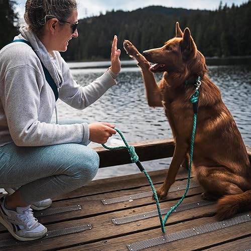 Vista 30 de Wilderdog Cuerda de escalada - Correa para perro con clip rápido, 5 pies, color azul pacífico Pacific Blue