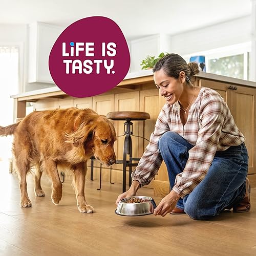 Miniatura 8 de Kibbles 'n Bits Alimento seco para perros, sabroso sabor a tocino y bistec para perros adultos, bolsa de 16 libras