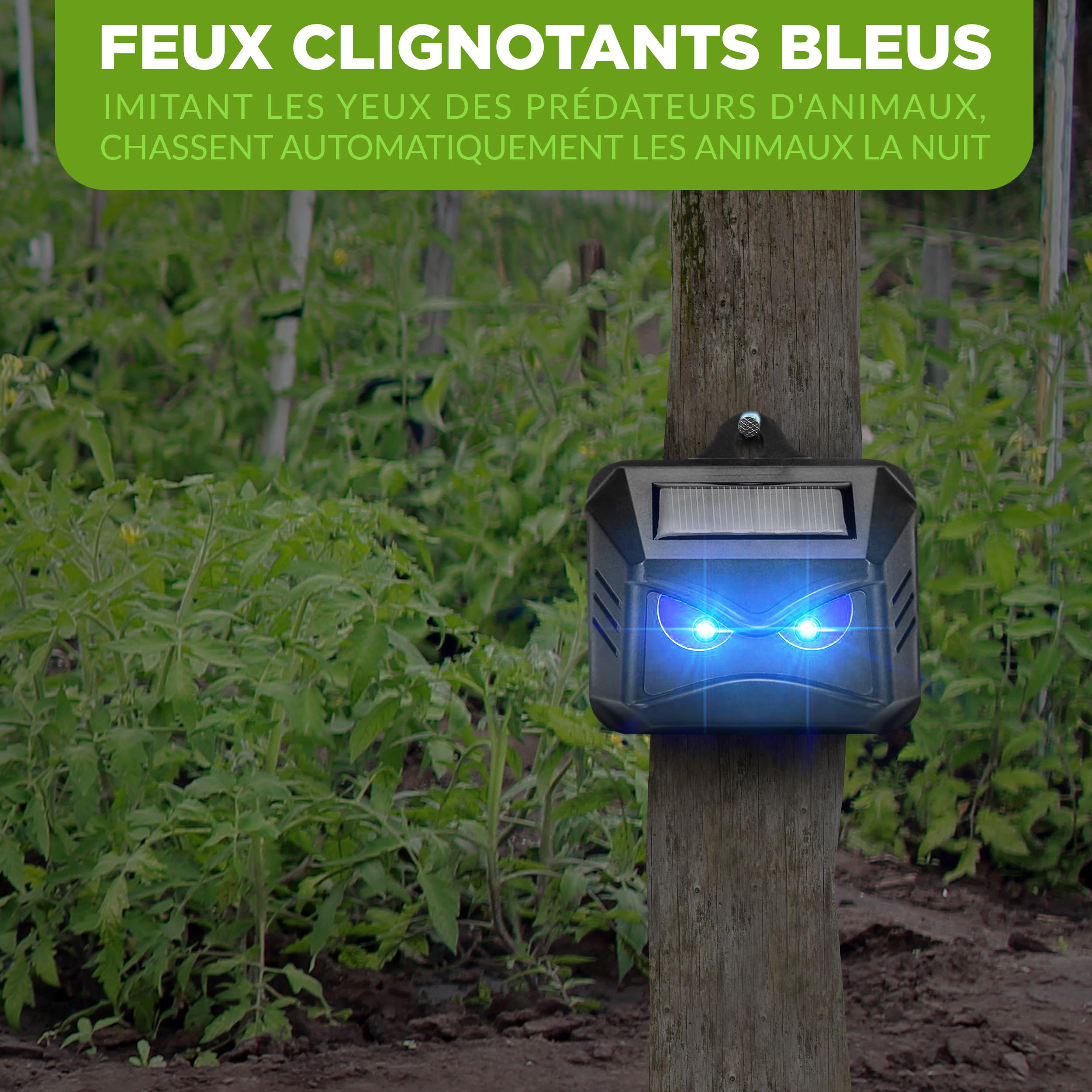 ISOTRONIC Répulsif Solaire Ratons Laveurs Cerfs Renards Sangliers Protection Animaux Sauvages LED Bleue 40 m² Lot de 4 Pièces Jardin