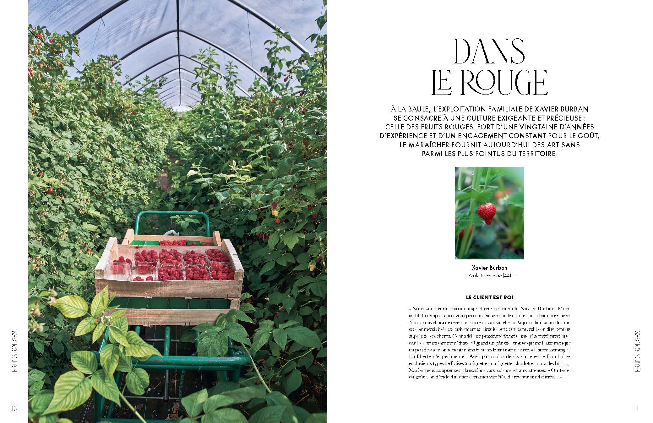 Le Goût de l'excellence: Du producteur au chef pâtissier.