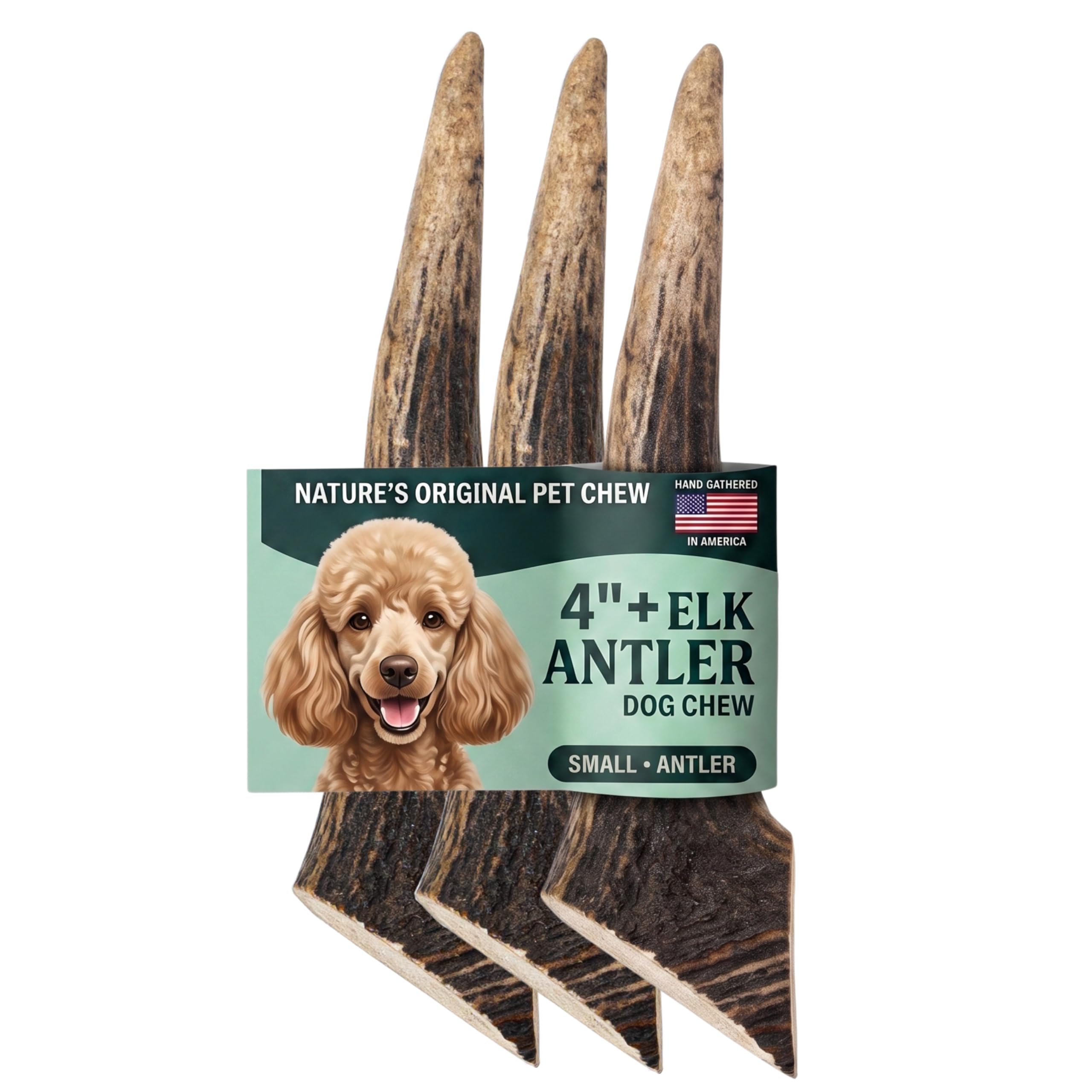 Mountain Valley Elk Antlers for Dogs Chew Whole Dog Antler,3Pack, S