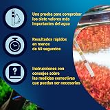 Ver la foto 4