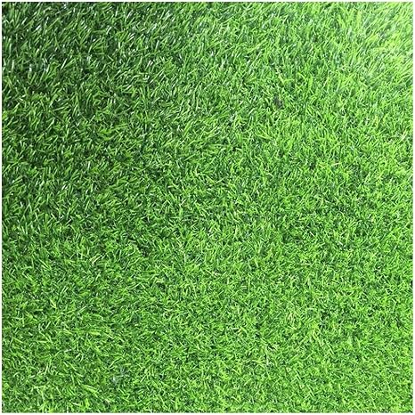 Amazon 人工芝生 レン穴付き ために合成人工芝 の芝生 カーペット 偽の芝生ド 幼稚園 草の高さ2 0 2 5 3 0 Cm Ghhqqz Color 2 0cm Size 2x10m 人工観葉植物 オンライン通販