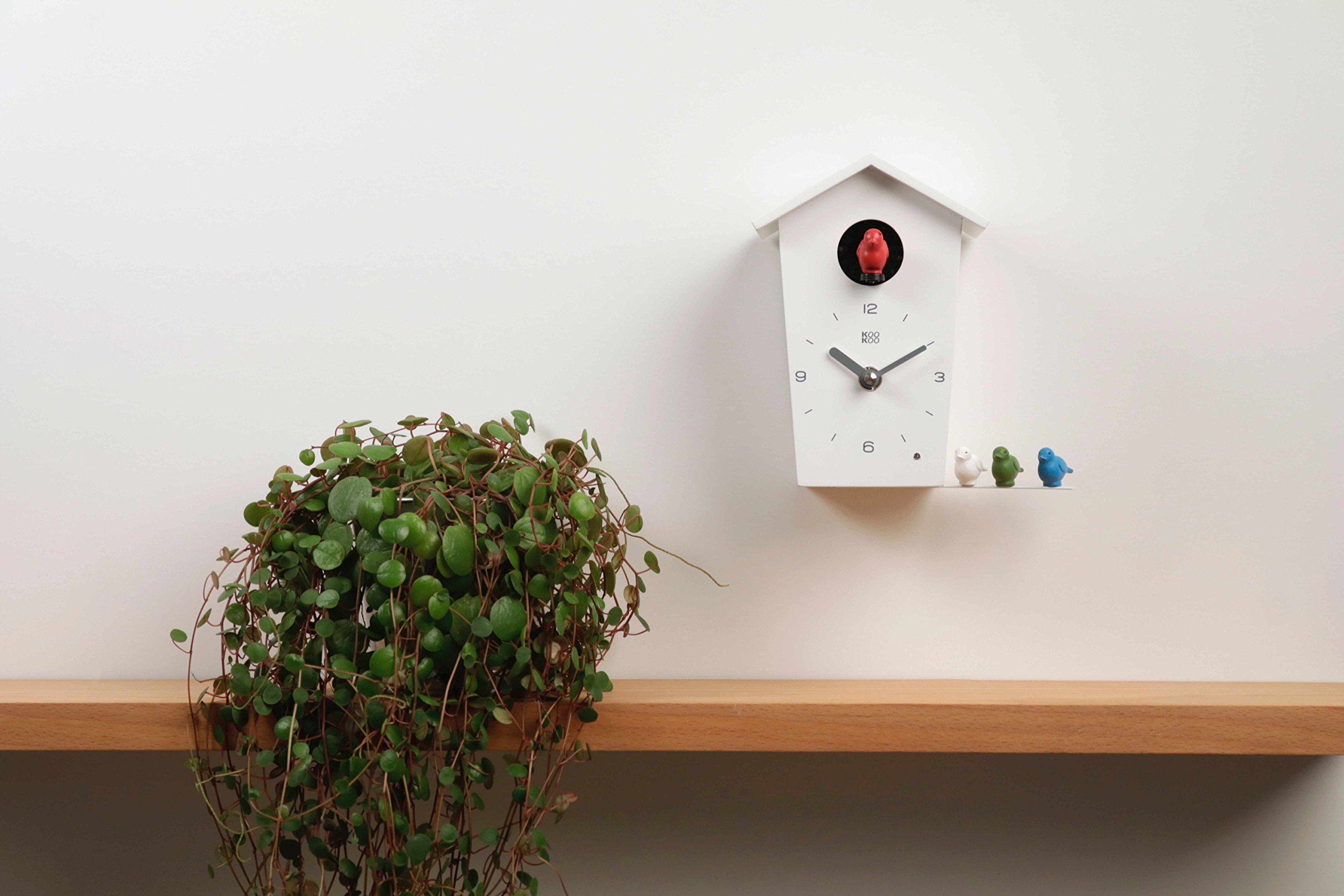 KOOKOO BirdHouse mini bianco, piccolo orologio cucu design modern, canto di 12 uccelli canori o cuculo, orologio
