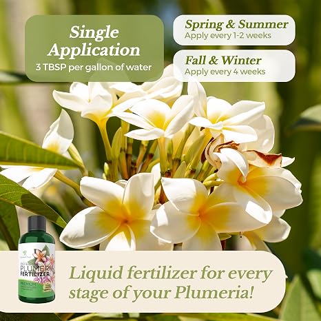 Leaves & Soul Plumeria Fertilizer Liquid, 3-5-4 Plumeria Plant Food, 8 oz
