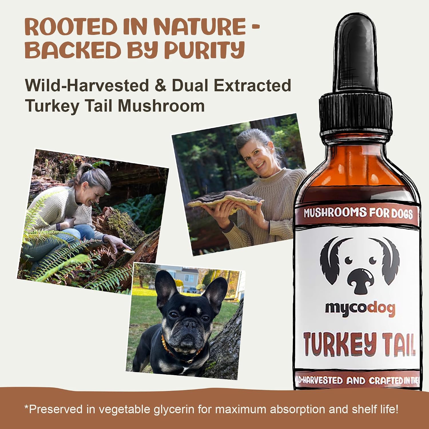 MycoDog Turkey Tail Mushroom Supplement for Dogs - Immune & Gut Health Support - Turkey Tail for Dogs - Daily Wellness Drops